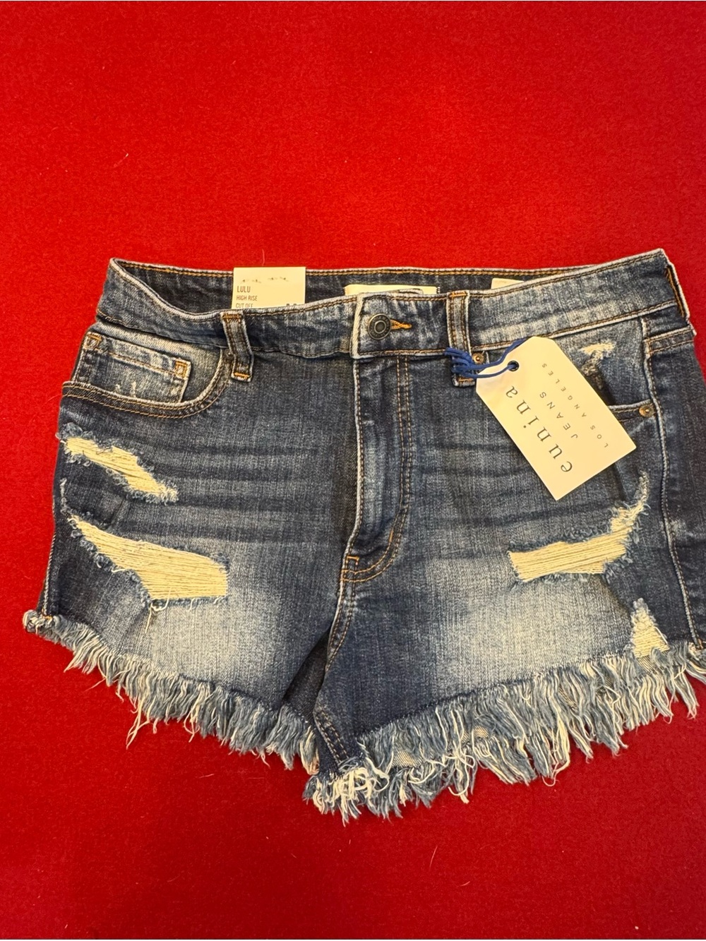 eunina Distressed Frayed Hem Denim Shorts - Blue
